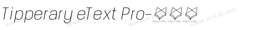 Tipperary eText Pro字体转换